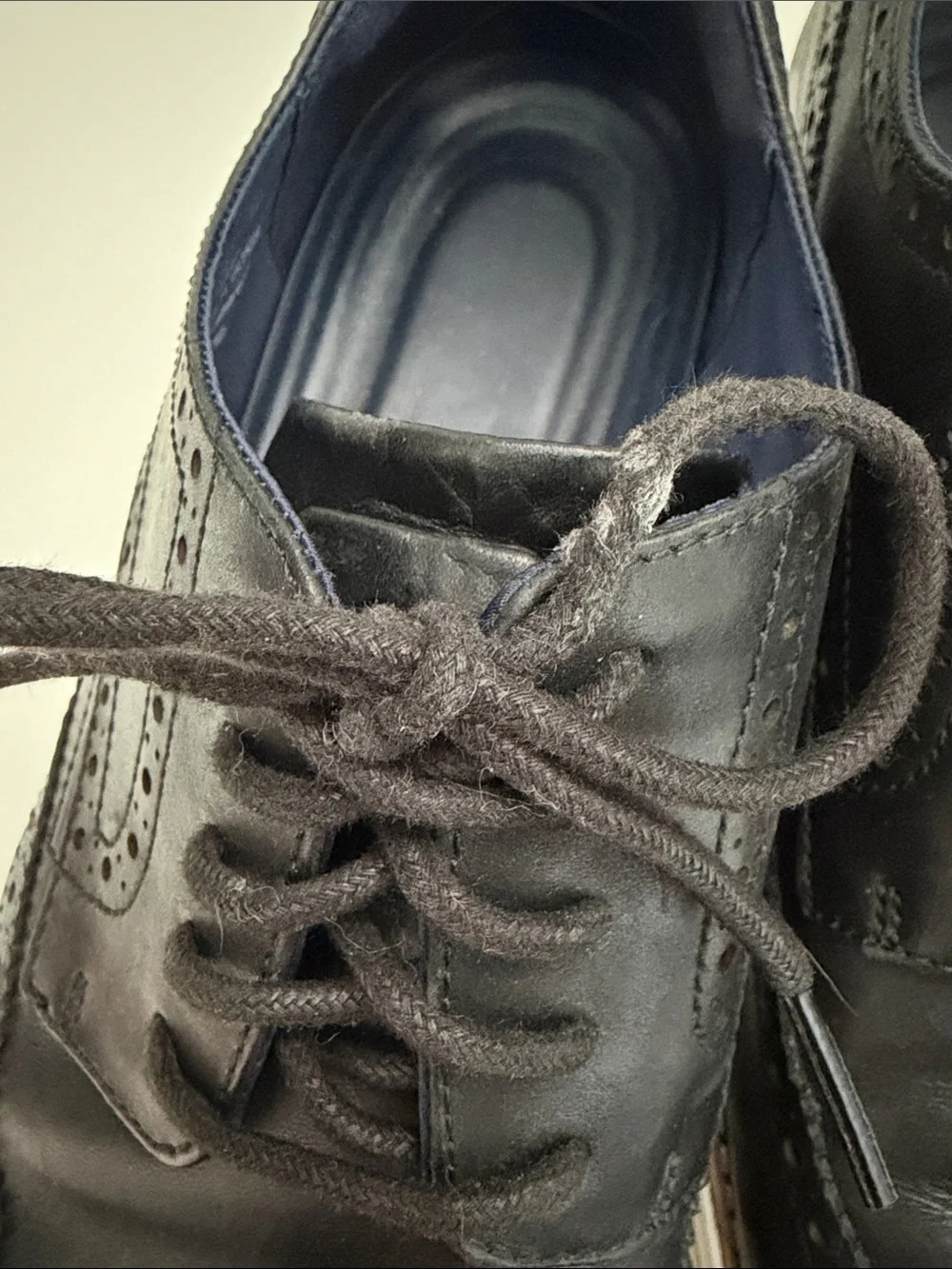COLE HAAN Mens Size 13 M GrandEvolution Shortwing Oxford Black Wingtip C26307